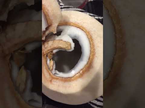Is My Coconut Water Bad How To Tell