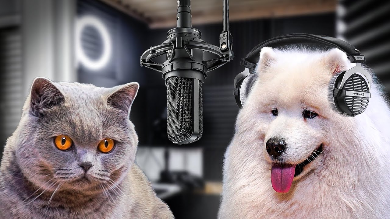 Pierwszy zwierzęcy podcast w Polsce!