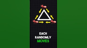 3 Ants and Triangle Puzzle  #interviewpuzzle #zohopuzzles #amazonpuzzles #puzzles