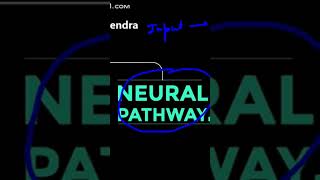 Exam performance & neural pathways-acharya vishvendra #humanmind #humanbrain