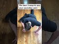 The Best 3 Ways To POP Your SACROILIAC JOINT The Best 3 Ways To POP Your SACROILIAC JOINT