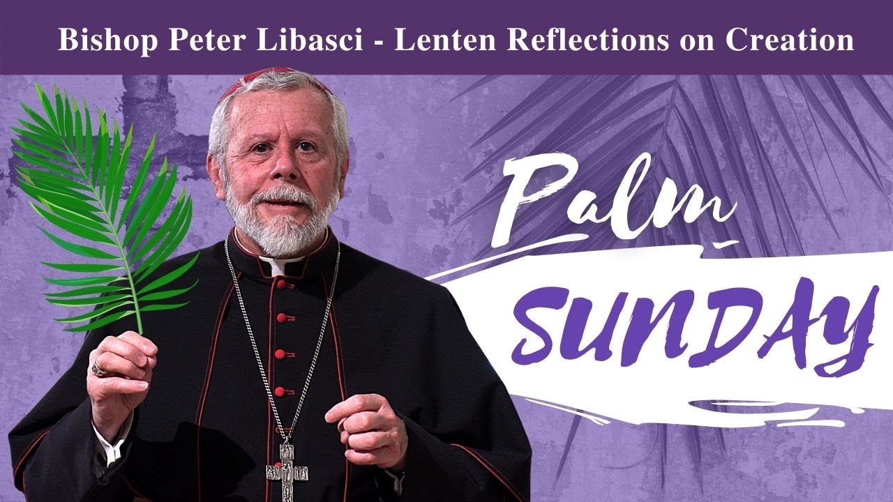 Bishop Peter Libasci Lenten Reflections Palm Sunday Youtube