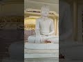 bodhgaya tour ❤️🤗#travel #viralvideo #love #bodhgaya #gaya #ytshorts #tranding #doctor #masti