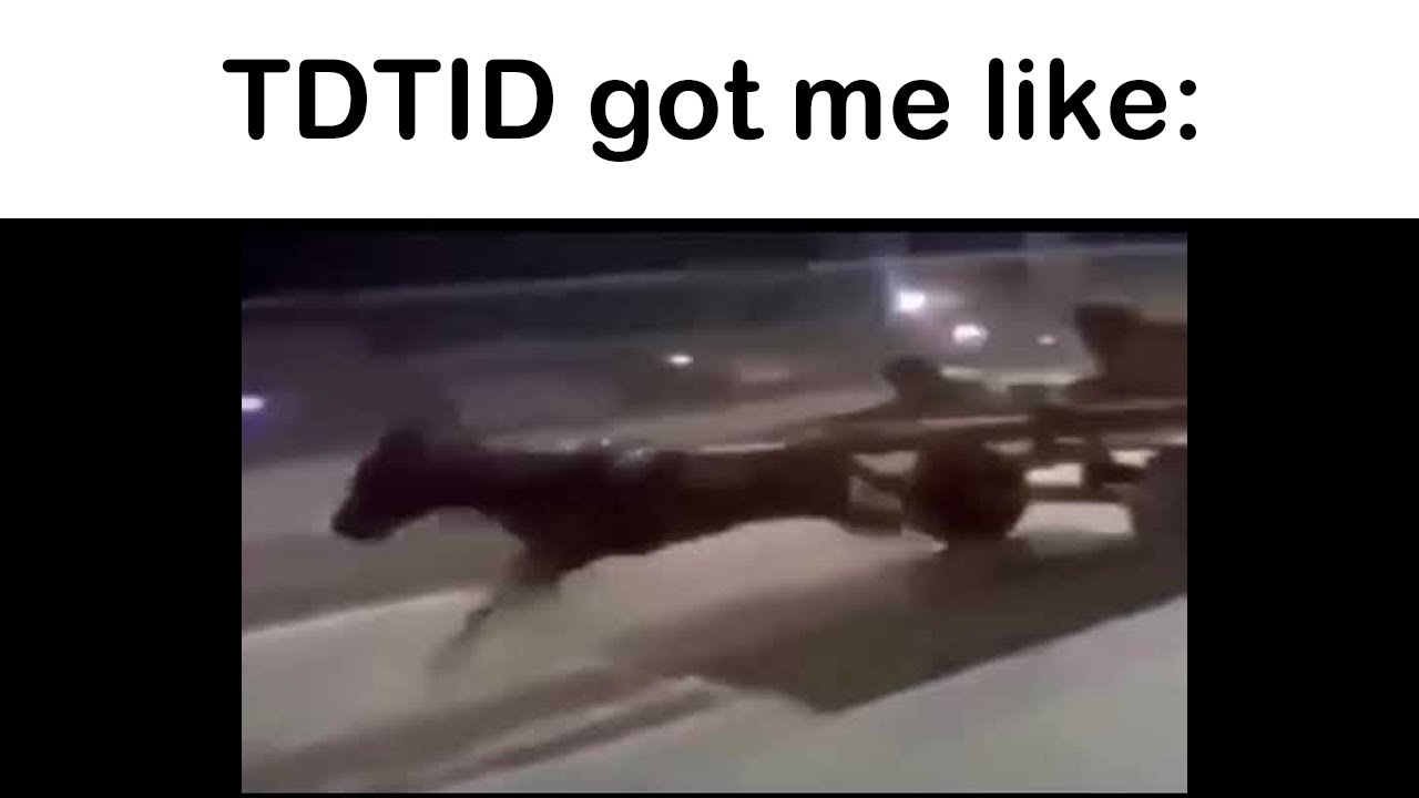 pizza tower  the death that i deservioli got me like