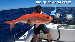 Deep Drop Fishing a BIG Queen Snapper