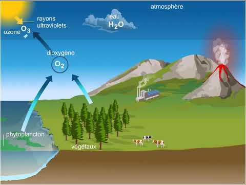 Vidéo: Comment l'oxygène se produit-il dans la nature et explique-t-il le cycle de l'oxygène dans la nature ?