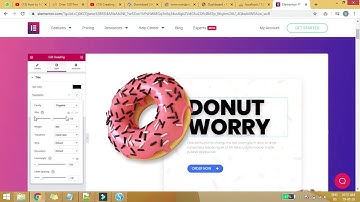 Install Wordpress CMS and Elementor Plugin