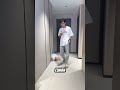 Suami Yang Takut Istri 🤣