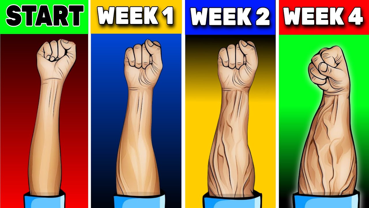 Perfect exercises for Forearms growth and size