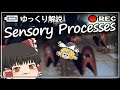 【ゆっくり解説】トレバーヘンダーソン版Am〇ng Us！？Sensory Processesを解説してみた！