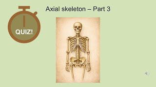 Quiz - Mcqs - Axial Skeleton - Part 3