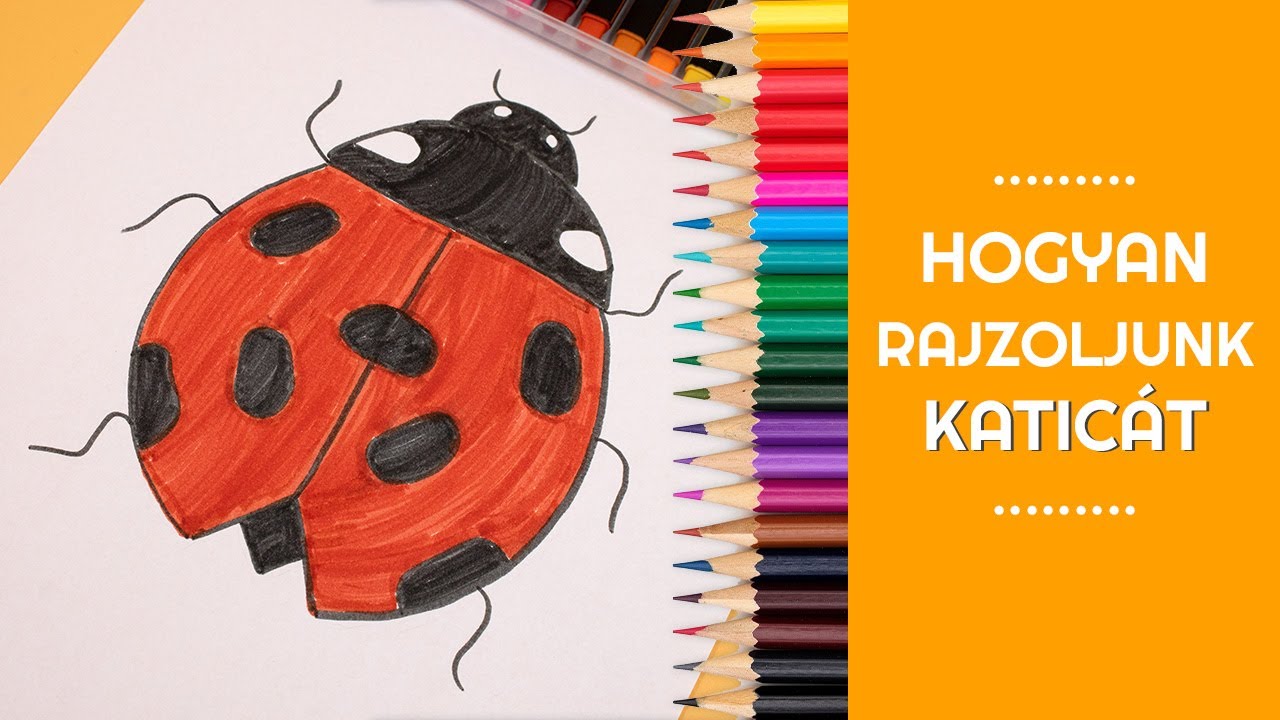 Hogyan rajzoljunk katicát?🐞