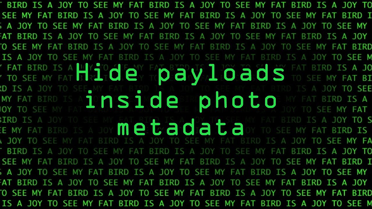 Inside ImageTragick: The Real Payloads Being Used to Hack Websites