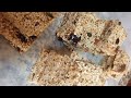 سمسمية صحية / لوائح زنجلان / Sesame Protein bar/  مقرمشات للرياضيين و الأطفال / كيف نختار السكر؟