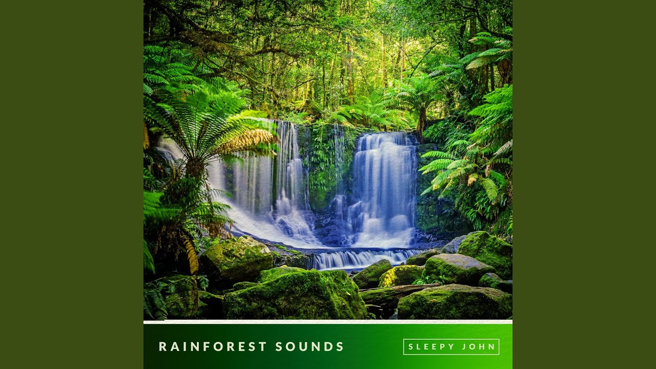 Forest Sounds, Pt. 64