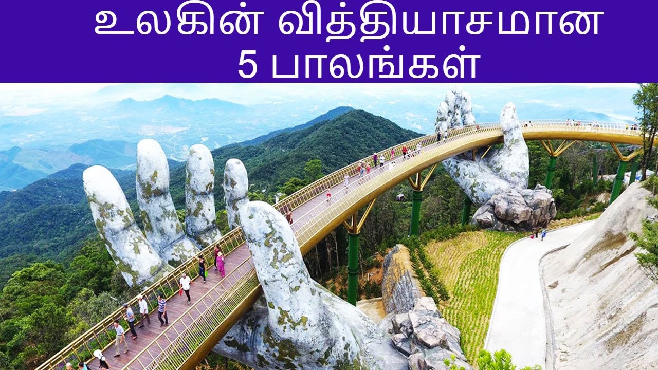 5 Weird Bridges In The World Tamil 