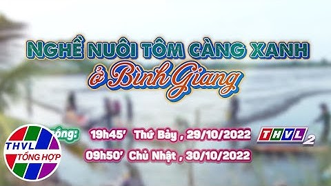 Nhịp sống đồng bằng: Nghề nuôi tôm càng xanh ở Bình Giang | Trailer