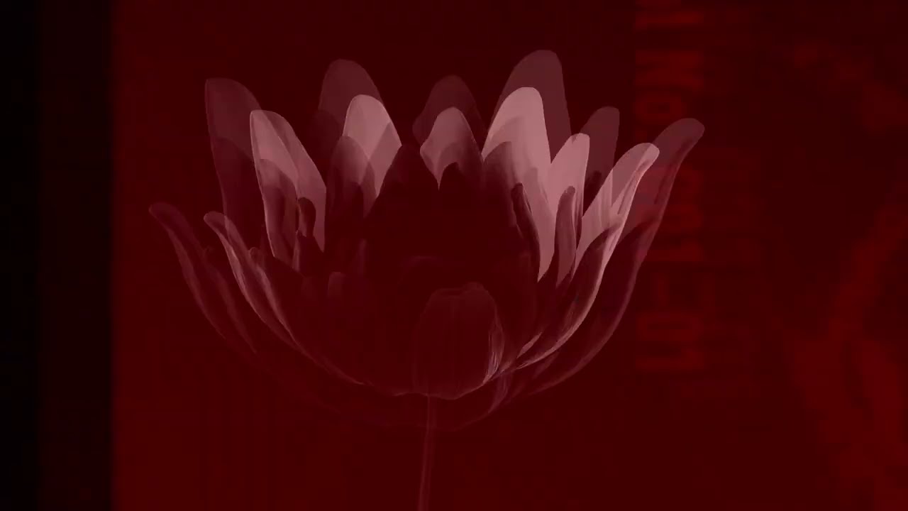 Watch Jakesbee - INTENT (Visualizer) on YouTube Watch Jakesbee - INTENT (Visualizer) on YouTube