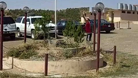 PLT Vid Absolute.wmv