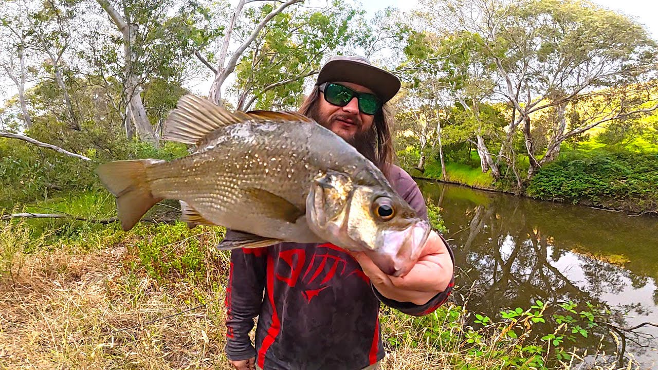 Invasive Carp Ruined This River | Can We Still Catch Estuary Perch?