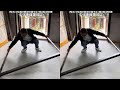 The industry's punch-free honeycomb folding door is easy to install and can be installed in