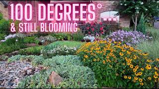 Texas Garden Tour | July 2026 | Thriving in 100° Summer Heat