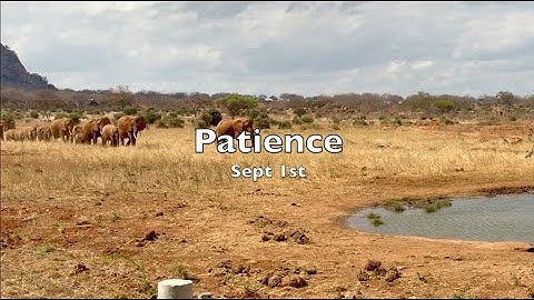 Sept 1st: Patience for real change -The Language of Letting Go: Daily Meditations for Codependents