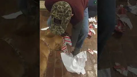 divers first Christmas