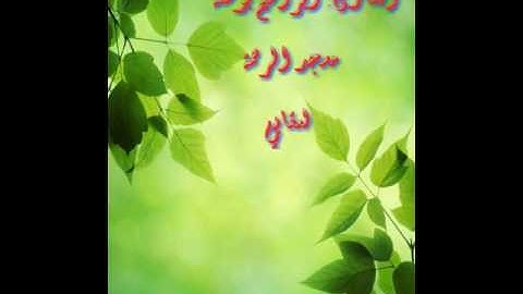 تلاوة هادئة للقارئ {ابراهيم بوسنة} من صلاة العشاء-مسجد الرحمة-لعقابي -جيجل