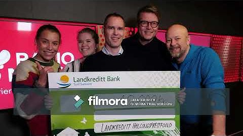 Professional Snapshot BCOM 314