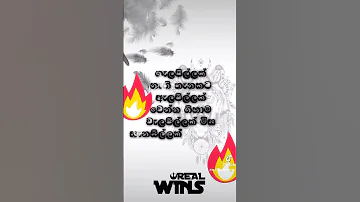 MS PRODUCTION VIDEO 