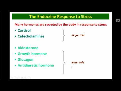L29&30&31 Adrenal function Dr. Ola (Online)