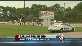 Activists push for greyhound legislation