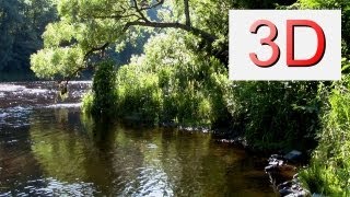 3D Video: River & Forest Relaxation #6