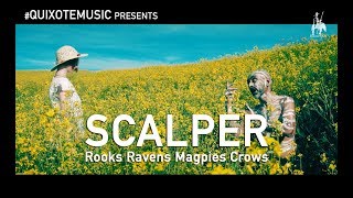 SCALPER °°° Rooks Ravens Magpies Crows °°° official video