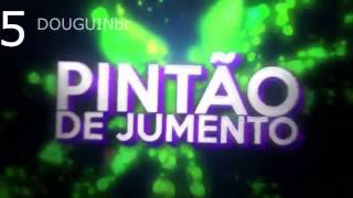 MELHORES INTROS DORGAS #1