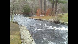 CAPE COD CANAL/STRIPERQUEST/MIDDLEBORO HERRING RUN/GOOD FRIDAY/2026