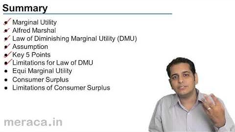 Summary Marginal Utility | Theory of Consumer Behaviour | CA CPT | CS & CMA Foundation | Class 11
