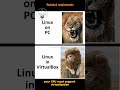 Hacker requirements #comedy #computer #cybersecurity #fannyvideo  #hacker #kali  #linux #memes
