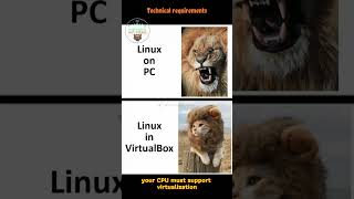 Hacker requirements #comedy #computer #cybersecurity #fannyvideo #hacker #kali #linux #memes