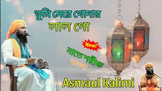Asmaul Kalimi Naat || তুমি সেরে খোদার লাল বাংলা গজল || নাতে শরীফ || Asmaul Kalimi New Nate Sharif ||