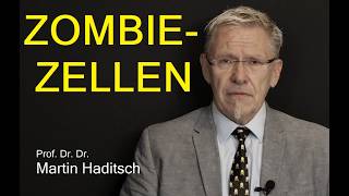 Neues Problem: Zombie Zellen