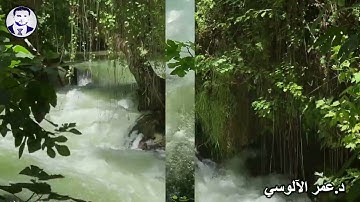 "رَبِّ قَدْ آتَيْتَنِي مِنَ الْمُلْكِ | تلاوة خاشعة تبكي القلوب | بصوت د. عمر الآلوسي"