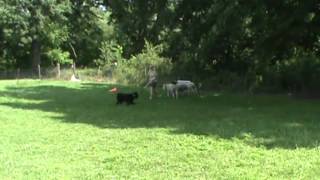 Susan And Noche Beginning Stockwork