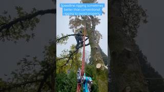 SPEEDLINE rigging to avoid damage