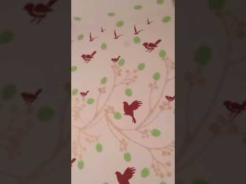 Affordable Chinese Airguns | Cheap China Air Rifles | Budget Airguns from China | Airguns under 10k