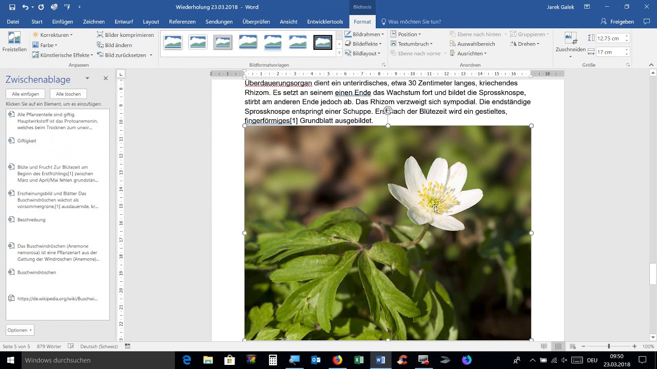 23032018, Word 2016, Zwischenablage, Bilder einfügen, Screenshot