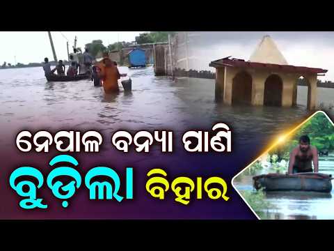 Bihar Flood Fury | 13 Districts Submerged as Nepal Releases Flood Water | Bihar Floods | Argus News