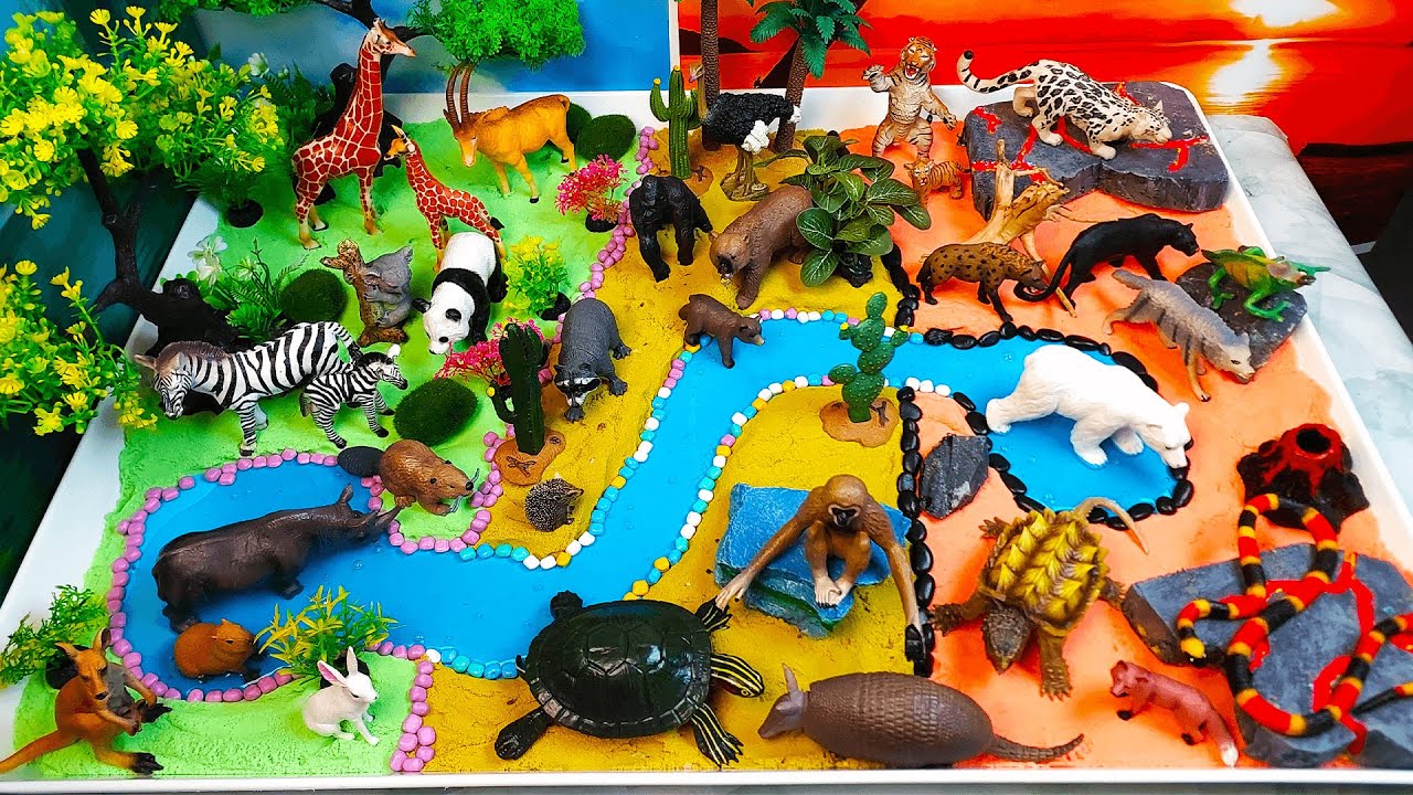 Aprende nombres de  Carnívoros Herbívoros y Omnívoros-juguetes de animales para niños