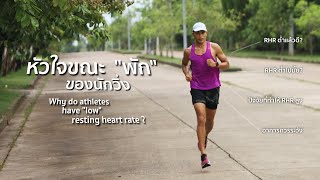 หัวใจขณะพัก ของนักวิ่ง : Why do athletes have low resting heart rate? [Club 041]